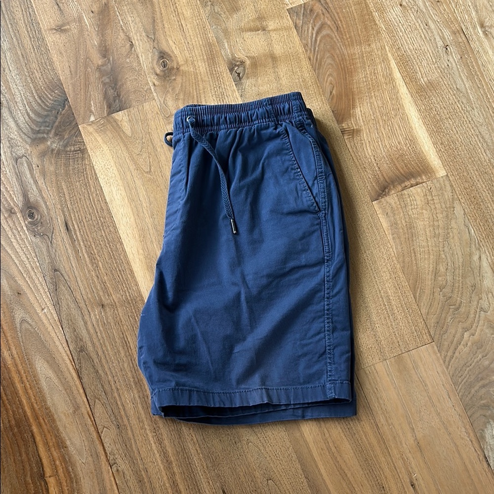 GAP Men's Deep Blue Flat Front Shorts